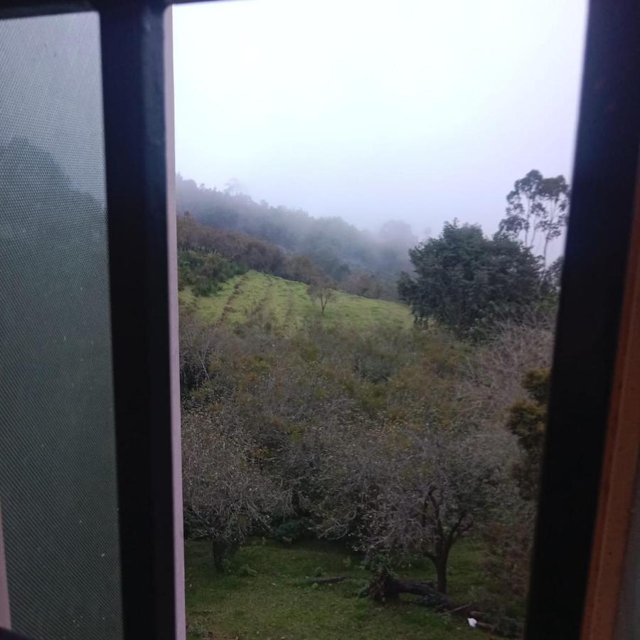 Olive Rooms Kodaikanal With Wifi, Spacious Rooms, Parking Екстериор снимка